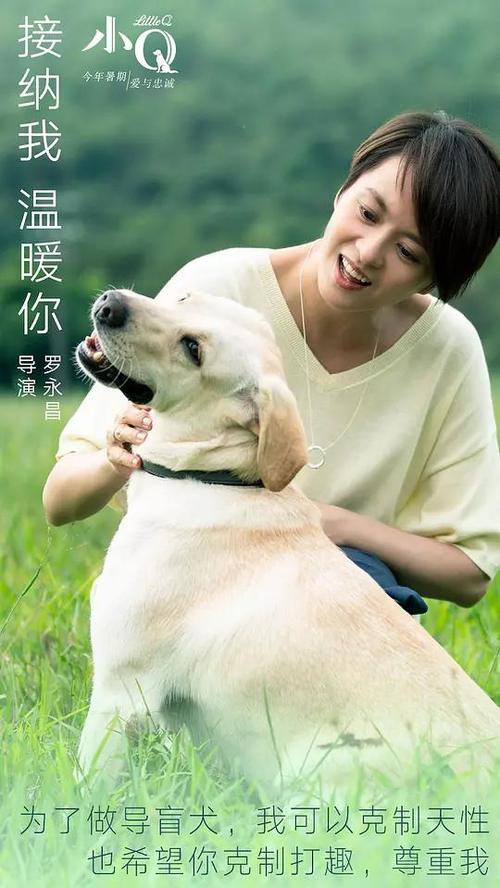 日本青森公立大学文凭毕业证怎么买到